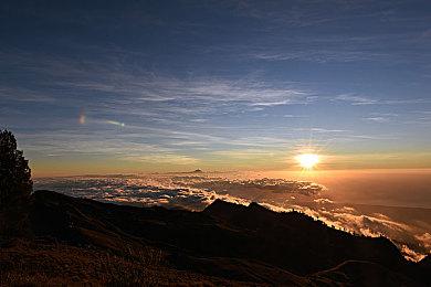 《如龙７外传 无名之龙》山口祥行采访影片 11月8日发售